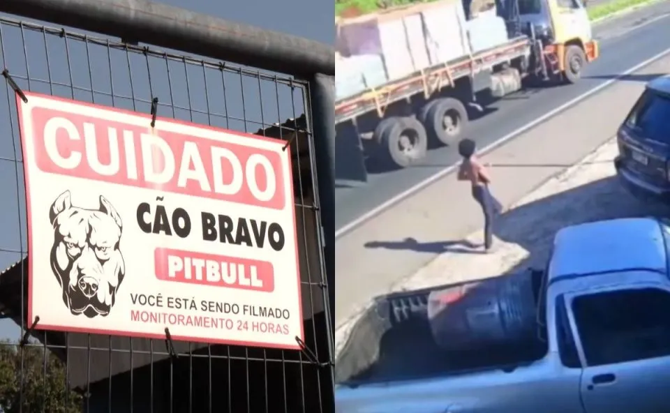 Mulher do Norte Pioneiro morre após ser atacada por três cachorros