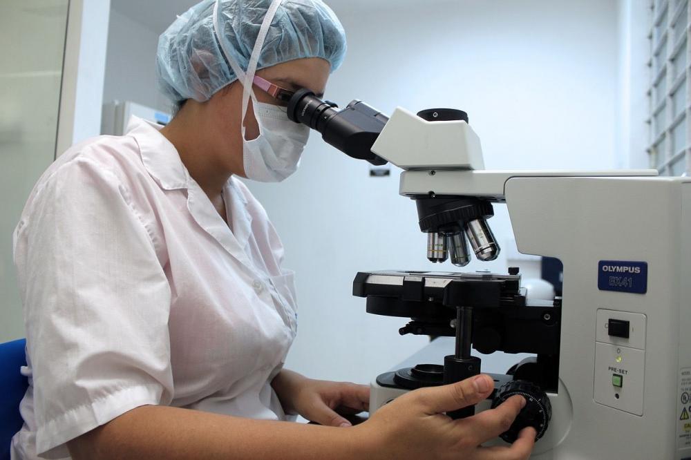 Interesse pela profissão aumenta e universidades registram aumento de alunos. Foto: Divulgação. 