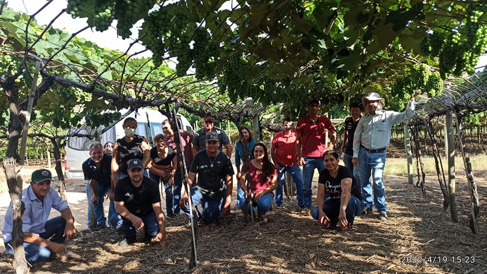 Foto: Divulgação. 