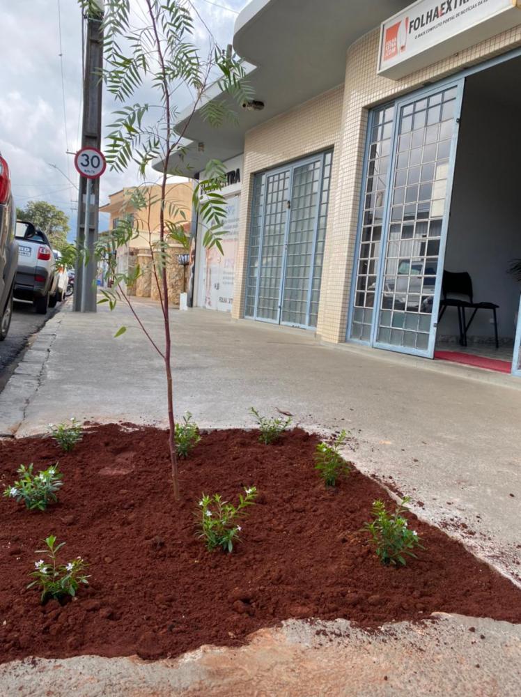 Plantio feio em frete ao Jornal Folha Extra