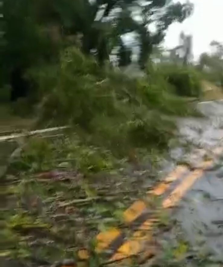 Foto: Divulgação. 