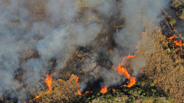 (Foto: Franklin de Freitas/arquivo Bem Paraná)