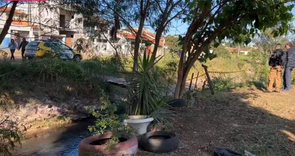 Reprodução/NPTV
