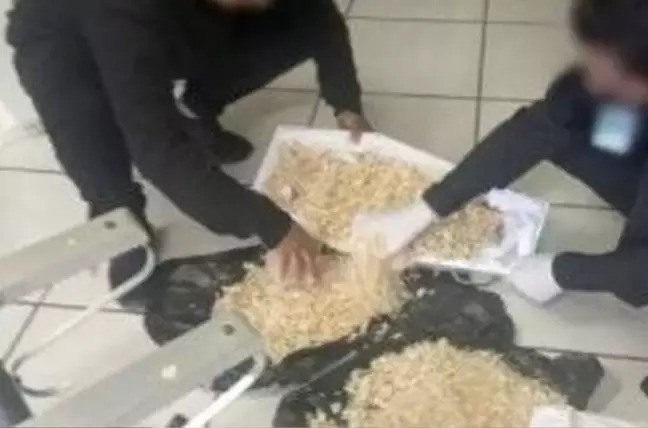 Reprodução/Internet