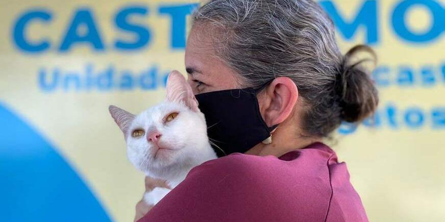 Foto: Reprodução. 