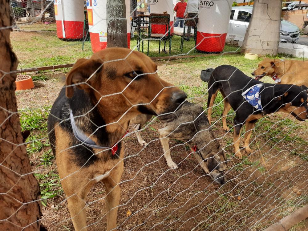 Foto: Divulgação. 