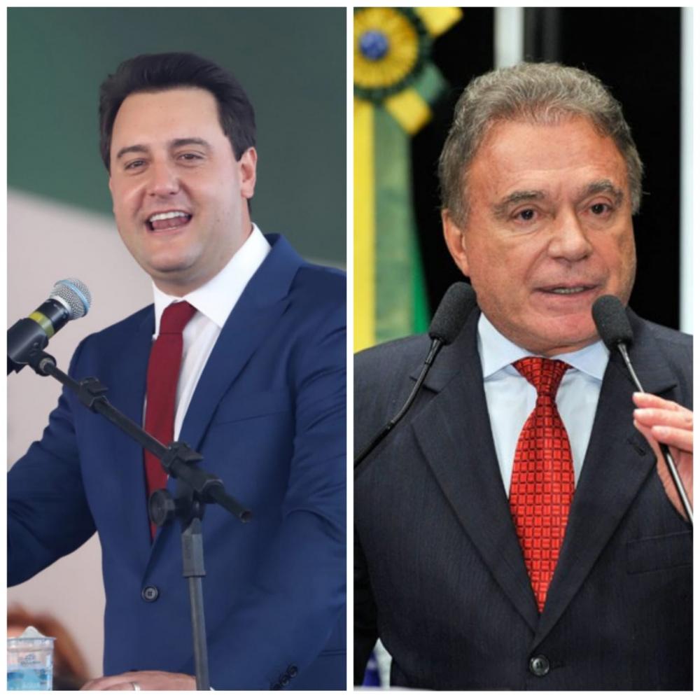 Foto: Divulgação. 