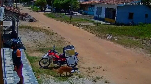 Foto: Divulgação. 
