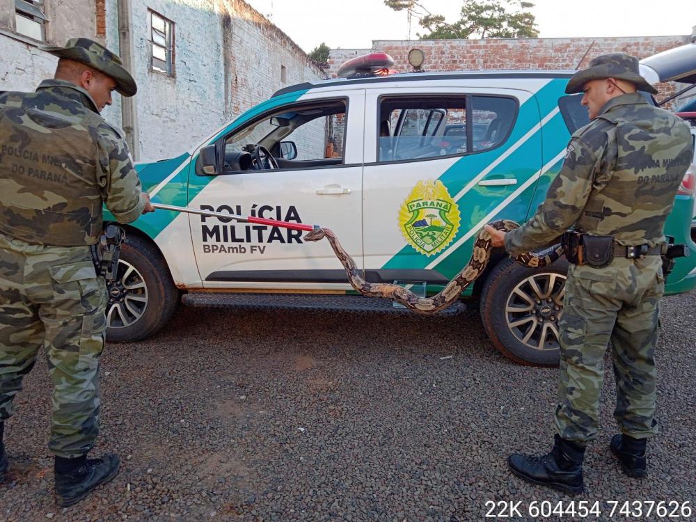 Foto: Divulgação. 