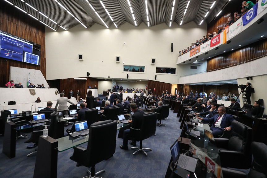 Foto: Divulgação. 