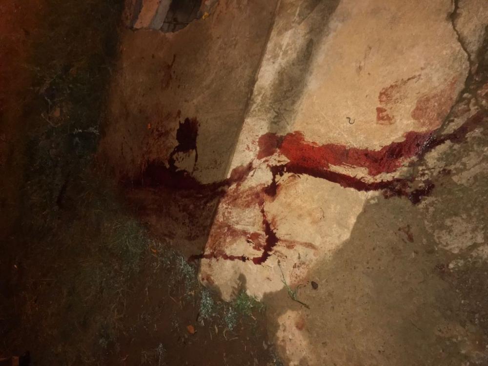 Foto: Divulgação. 