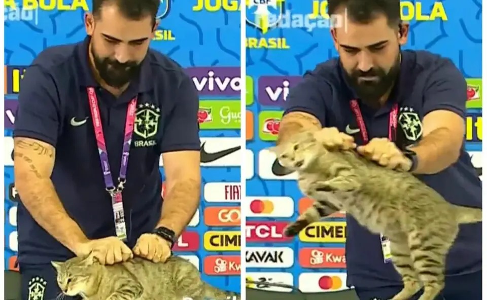 Foto: Divulgação. 