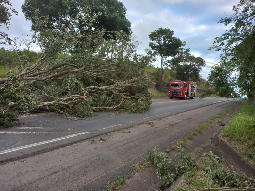 Foto: Divulgação. 