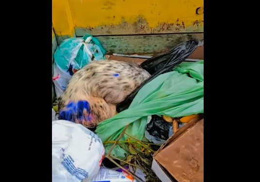 Foto: Divulgação. 