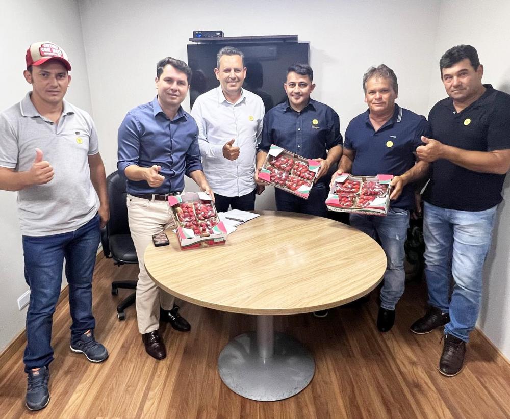Foto: Divulgação. 