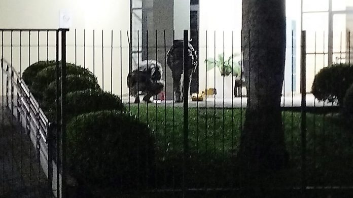 Foto: Divulgação. 