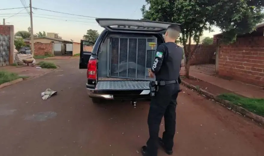 Foto: Divulgação.