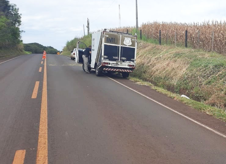 Foto: Divulgação.