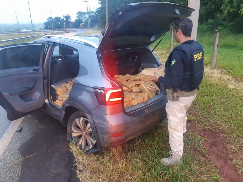 Foto: Divulgação.