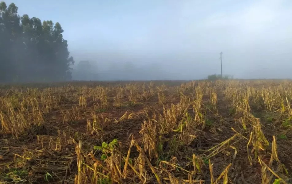Foto: Divulgação.