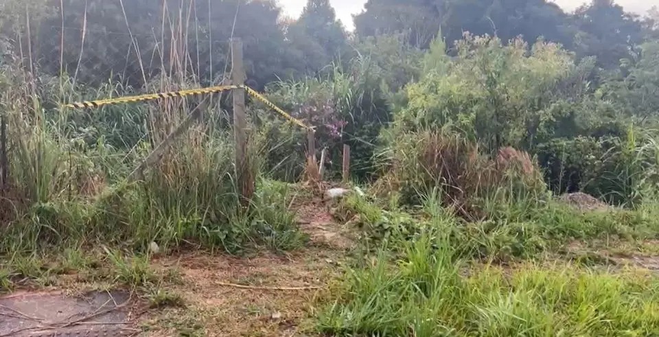 Feto foi encontrado enterrado em um terreno baldio no bairro Costeira, em Araucária – Foto: Rádio Plug