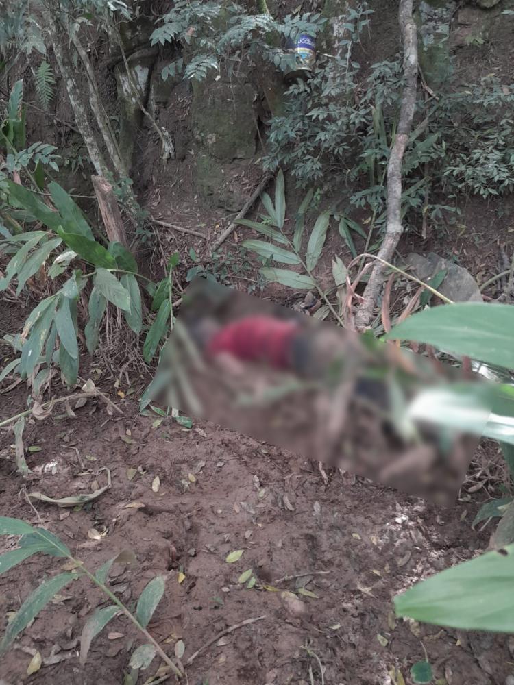 Foto: Divulgação.
