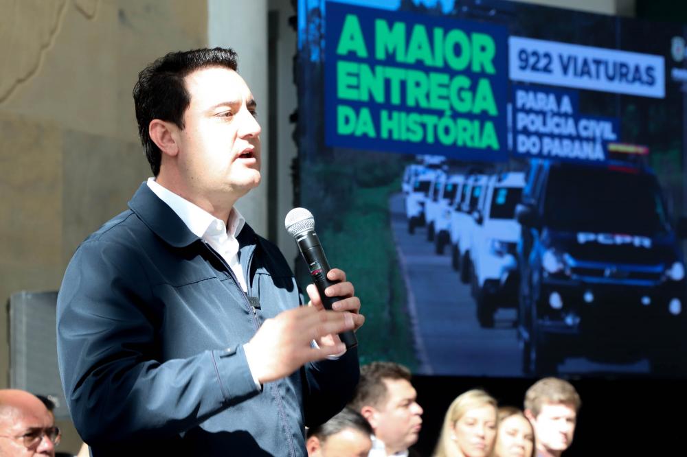 Foto: Divulgação.
