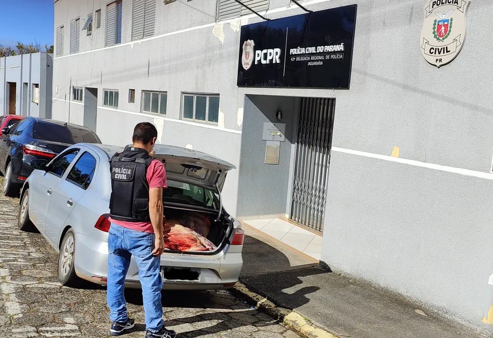 Foto: Divulgação.