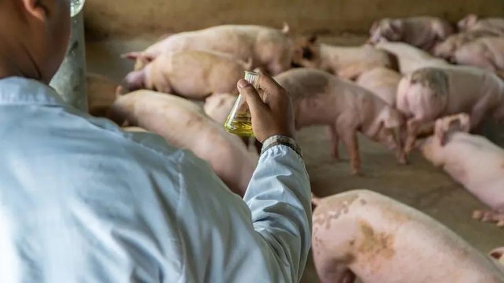 Imagem ilustrativa — Foto: GETTY IMAGES via BBC