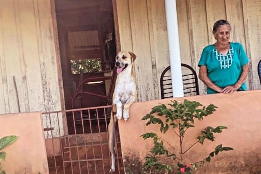 Foto: Divulgação.