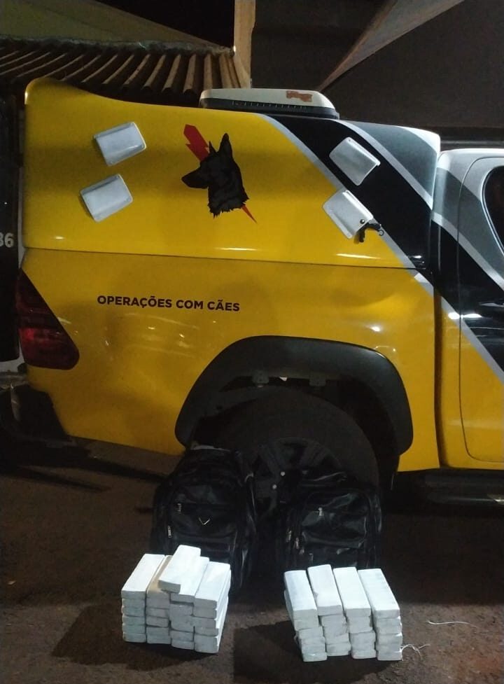Foto: Divulgação.