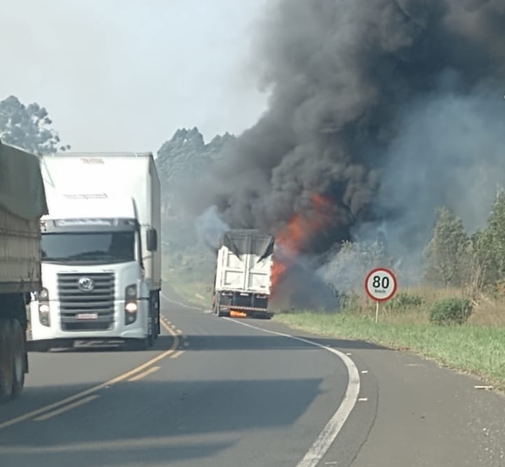 Foto: Divulgação.
