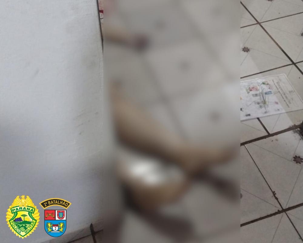 Foto: Divulgação.