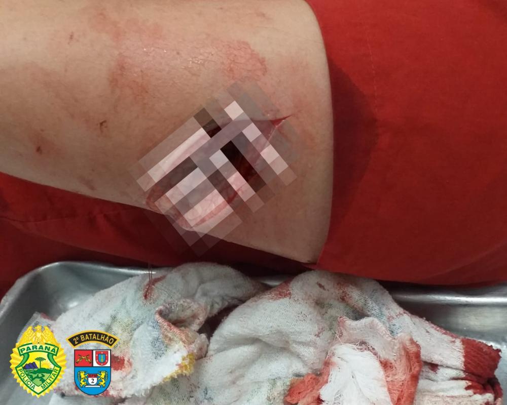 Foto: Divulgação.