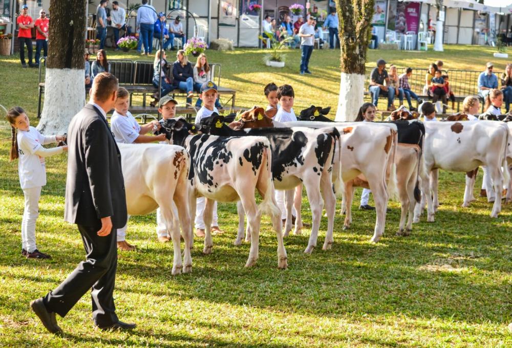 Na última edição, mais de 20 mil pessoas prestigiaram as atrações do evento. Foto Divulgação Capal