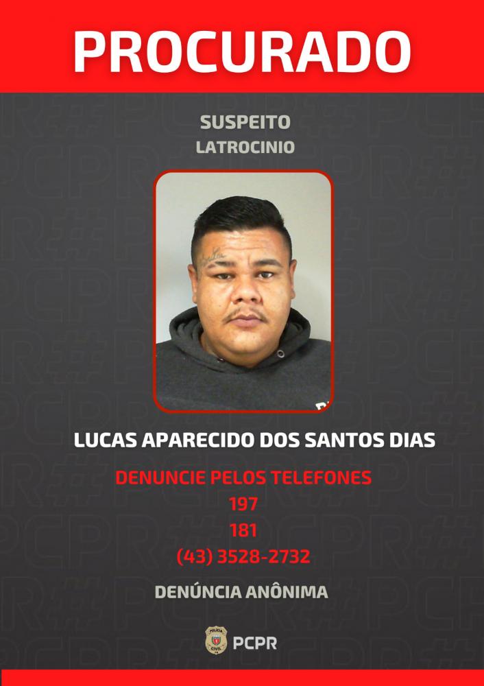 Foto: Divulgação.