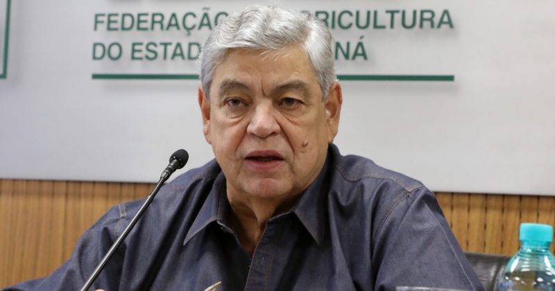 Foto: Divulgação.