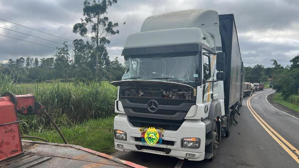 Foto: Divulgação.
