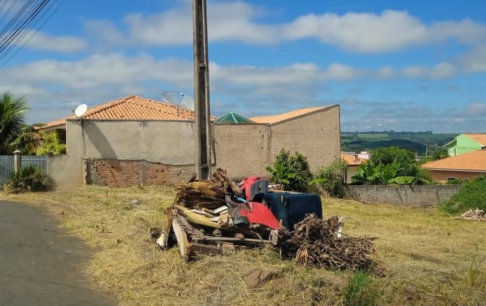 Foto: Divulgação.