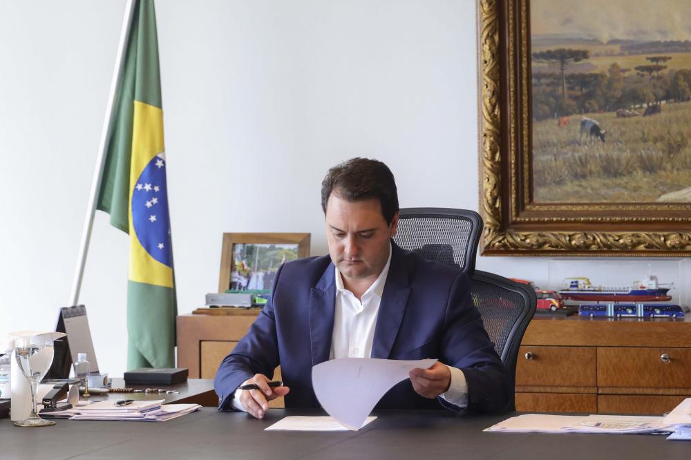 Foto: Divulgação.