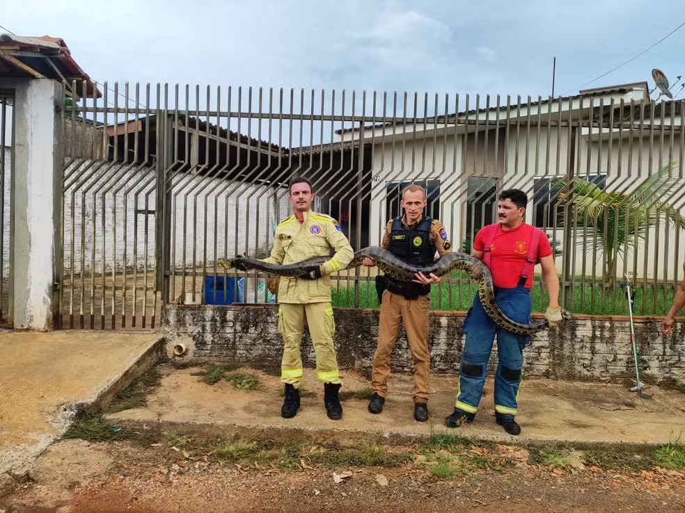 Foto: Divulgação.