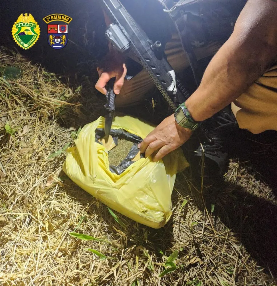 Foto: Divulgação.