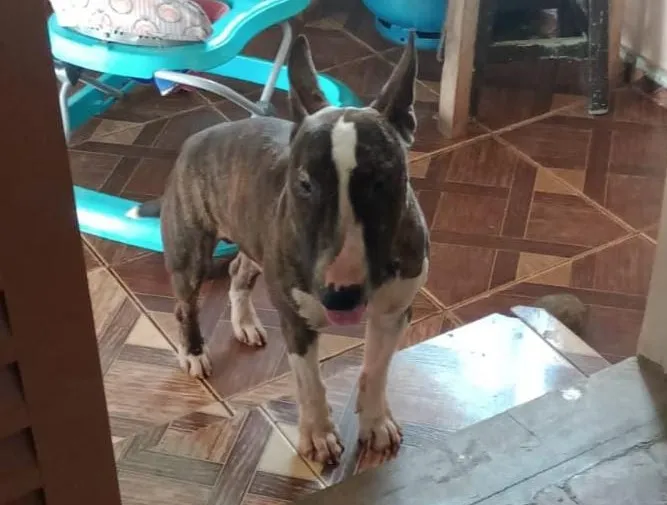 Foto: Divulgação.