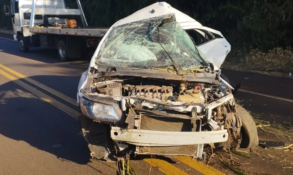 Foto: Divulgação.