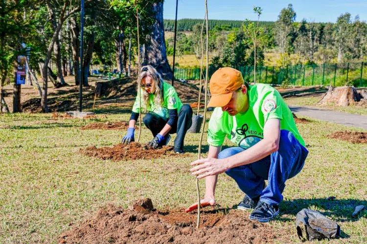 Foto: Divulgação.