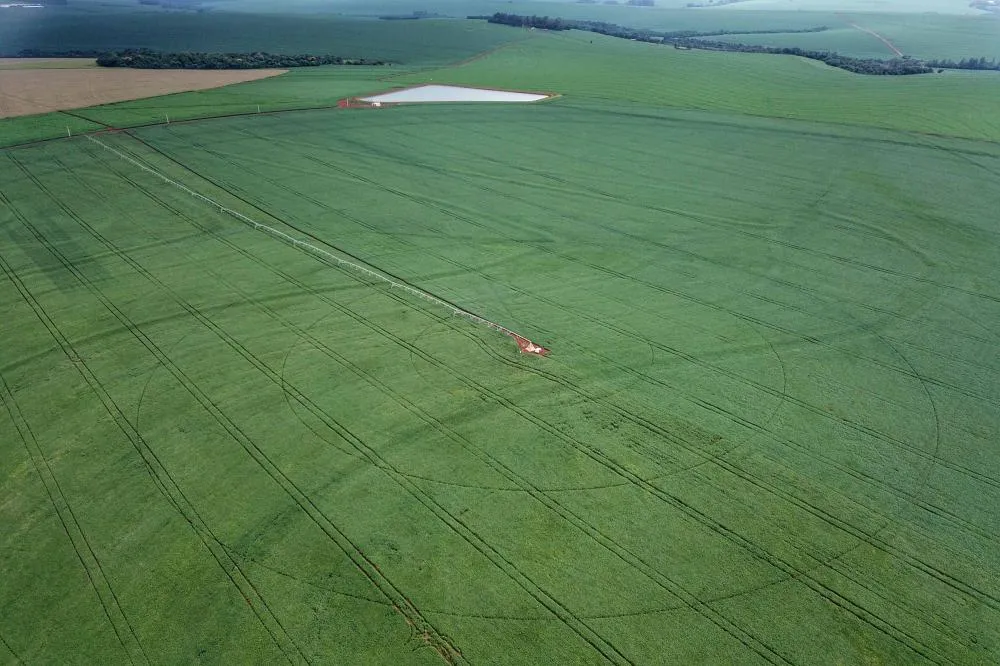 Plano Safra nacional terá R$ 475,5 bilhões; agricultura familiar fica com R$ 76 bilhões Foto: José Fernando Ogura/Arquivo AEN