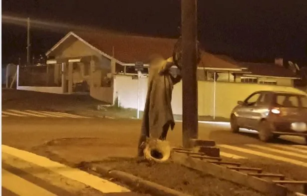 Foto: Divulgação.