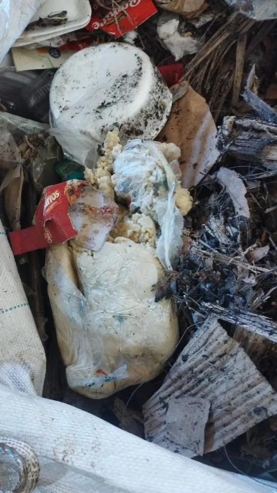 Foto: Divulgação.