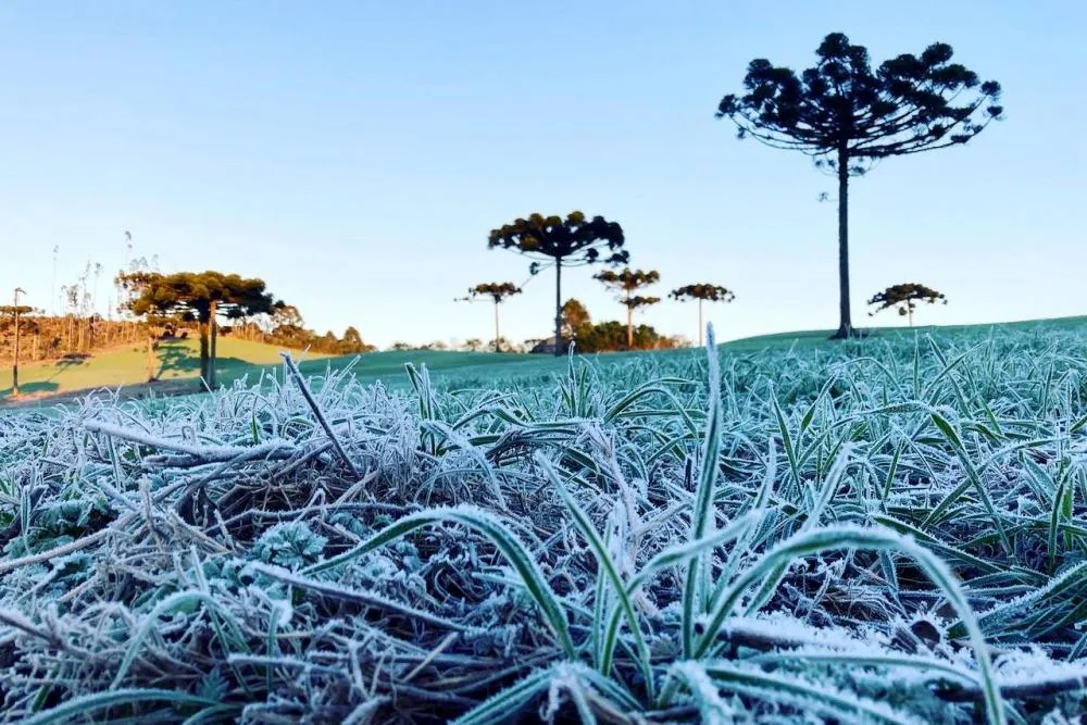 Nova mudança na temperatura pode afetar a saúde da população. Foto: Ana Tigrinho /AEN