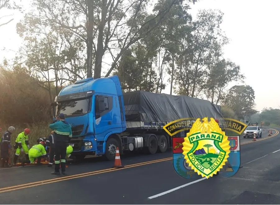 Foto: Divulgação.